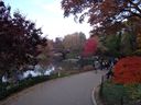 Filename=DSCF2168.jpg
Filesize=98KiB
Dimensions=800x600
Date added=Nov 12, 2011 DSCF2168.jpg