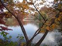 Filename=DSCF2198.jpg
Filesize=129KiB
Dimensions=800x600
Date added=Nov 12, 2011 DSCF2198.jpg
